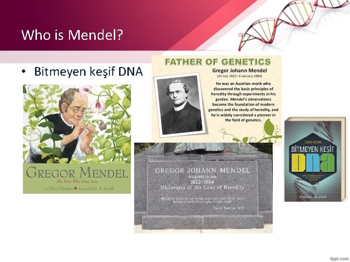 Who is Mendel? • Bitmeyen keşif DNA 