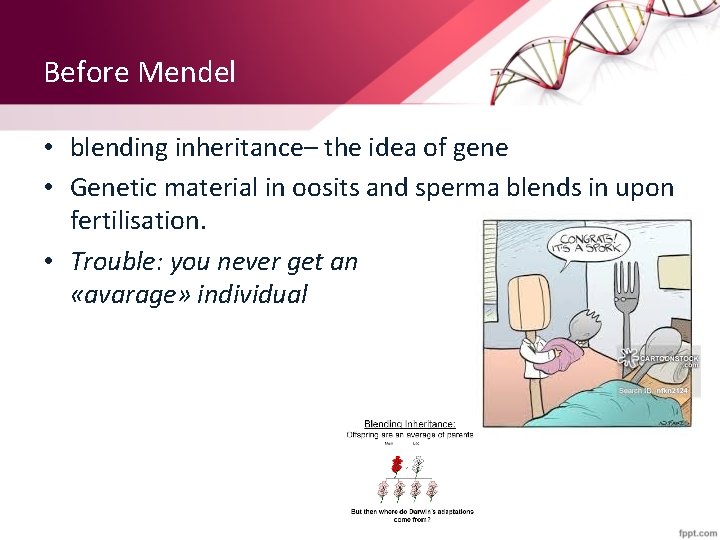 Before Mendel • blending inheritance– the idea of gene • Genetic material in oosits