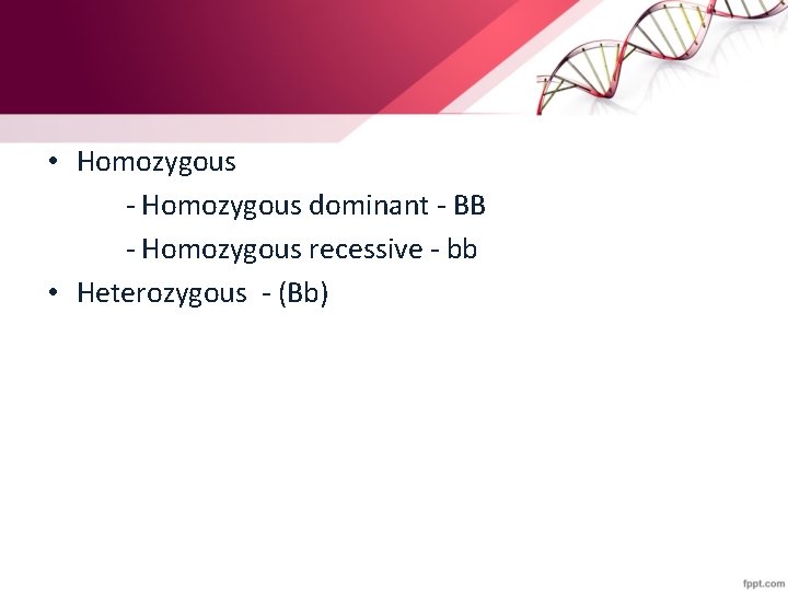  • Homozygous - Homozygous dominant - BB - Homozygous recessive - bb •