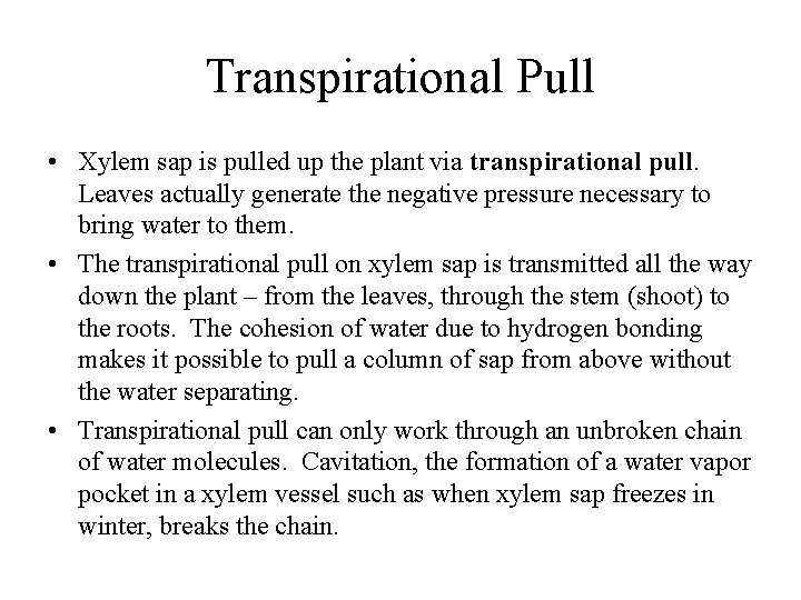 Transpirational Pull • Xylem sap is pulled up the plant via transpirational pull. Leaves