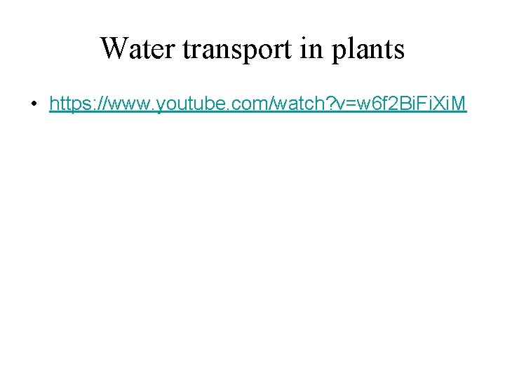 Water transport in plants • https: //www. youtube. com/watch? v=w 6 f 2 Bi.