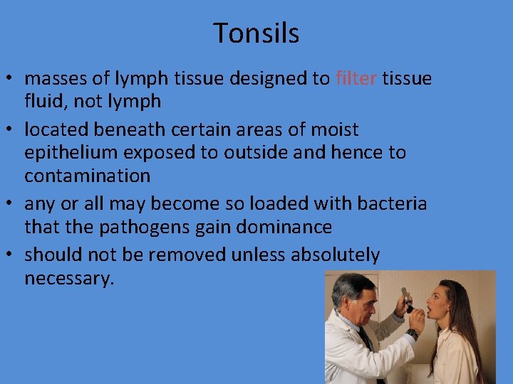 Tonsils • masses of lymph tissue designed to filter tissue fluid, not lymph •