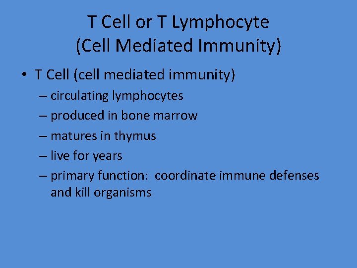 T Cell or T Lymphocyte (Cell Mediated Immunity) • T Cell (cell mediated immunity)