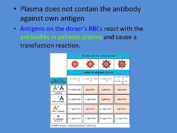  • Plasma does not contain the antibody against own antigen • Antigens on
