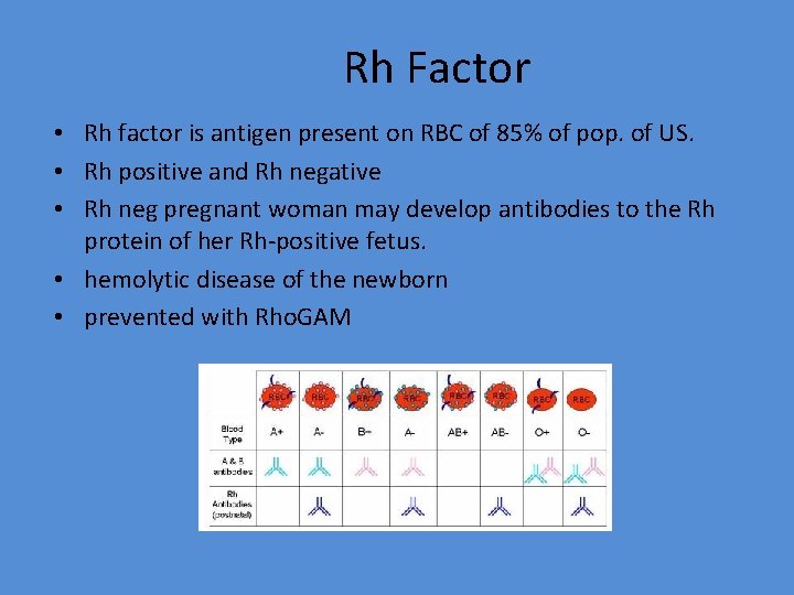 Rh Factor • Rh factor is antigen present on RBC of 85% of pop.