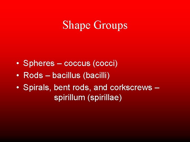 Shape Groups • Spheres – coccus (cocci) • Rods – bacillus (bacilli) • Spirals,