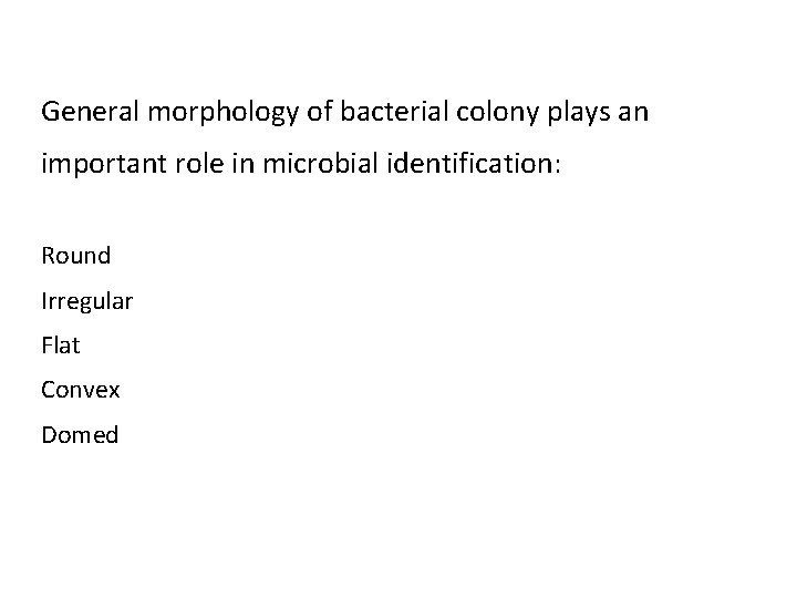 General morphology of bacterial colony plays an important role in microbial identification: Round Irregular