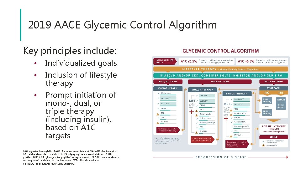 2019 AACE Glycemic Control Algorithm Key principles include: • Individualized goals • Inclusion of