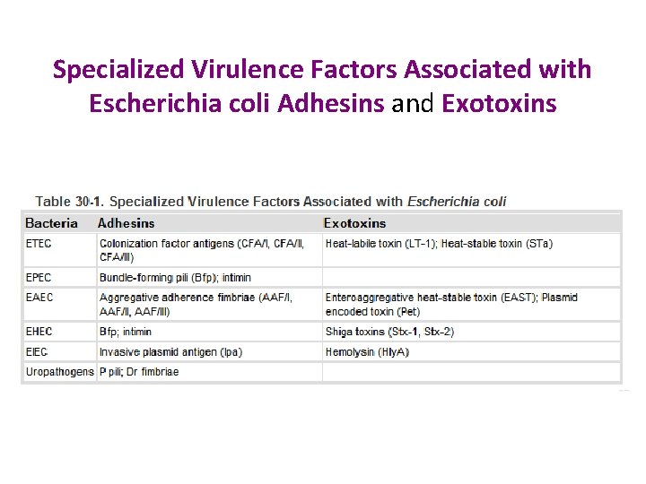 Specialized Virulence Factors Associated with Escherichia coli Adhesins and Exotoxins 
