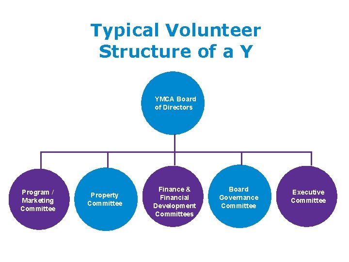 Typical Volunteer Structure of a Y YMCA Board of Directors Program / Marketing Committee