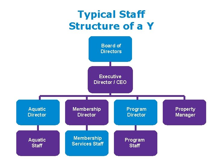 Typical Staff Structure of a Y Board of Directors Executive Director / CEO Aquatic