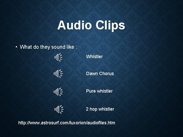Audio Clips • What do they sound like : Whistler Dawn Chorus Pure whistler