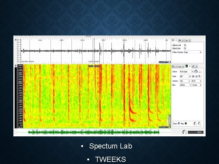  • Spectum Lab • TWEEKS 