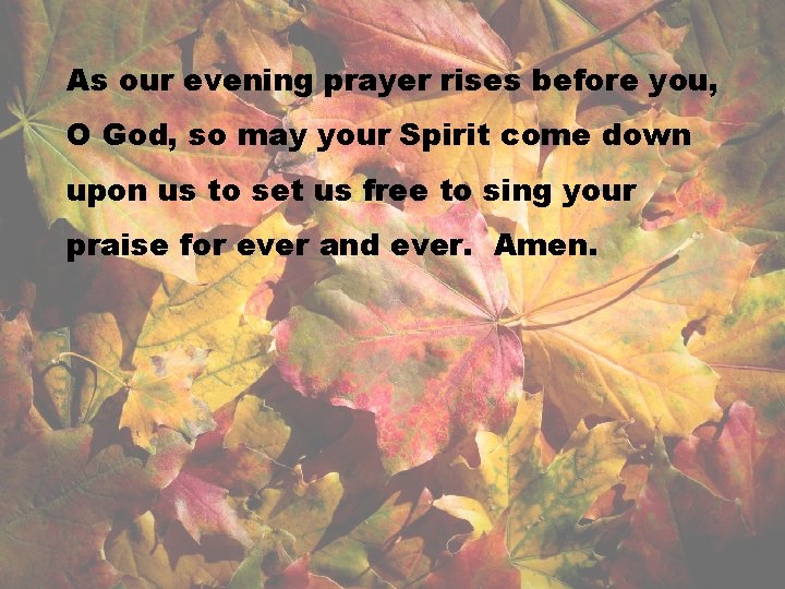 As our evening prayer rises before you, O God, so may your Spirit come