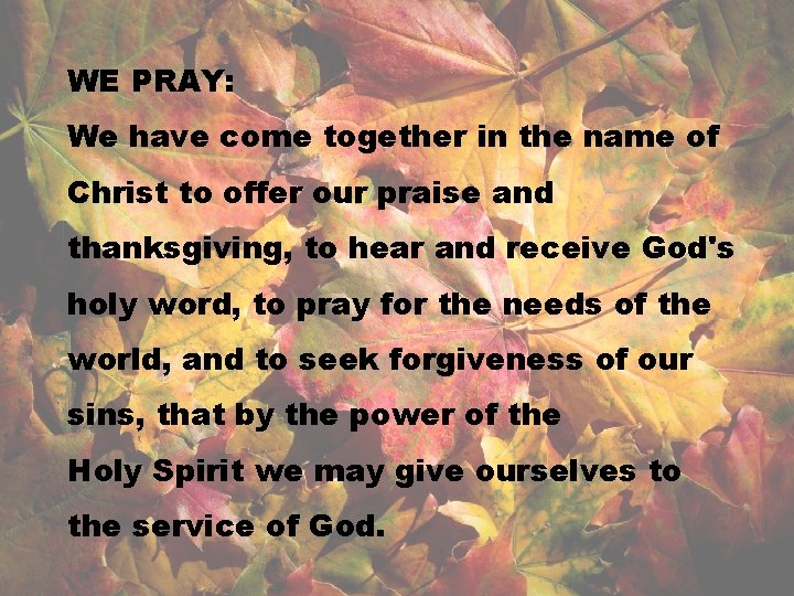 WE PRAY: We have come together in the name of Christ to offer our