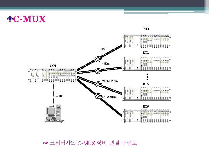 C-MUX RT 1 15 Km RT 2 COT 40 Km WDM-15 Km TCP/IP RT