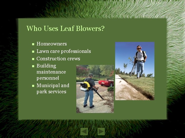 Leaf Blower Concerns Perceptions Facts and Solutions How