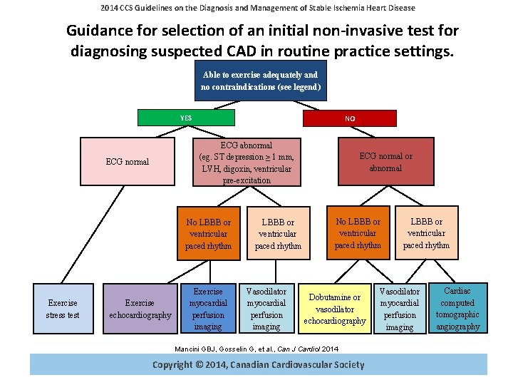 2014 CCS Guidelines on the Diagnosis and Management of Stable Ischemia Heart Disease Guidance