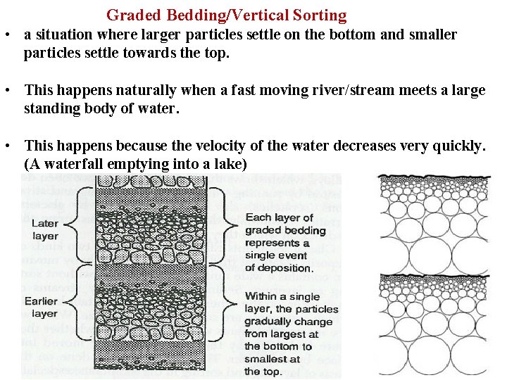 Graded Bedding/Vertical Sorting • a situation where larger particles settle on the bottom and