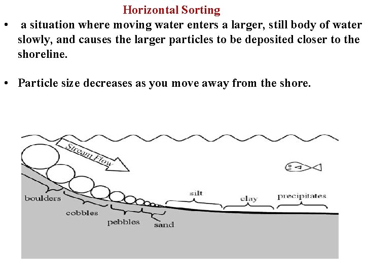 Horizontal Sorting • a situation where moving water enters a larger, still body of