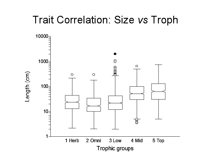 Trait Correlation: Size vs Troph 