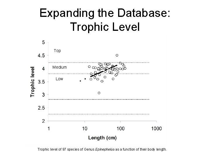 Expanding the Database: Trophic Level Top Medium Low Trophic level of 97 species of