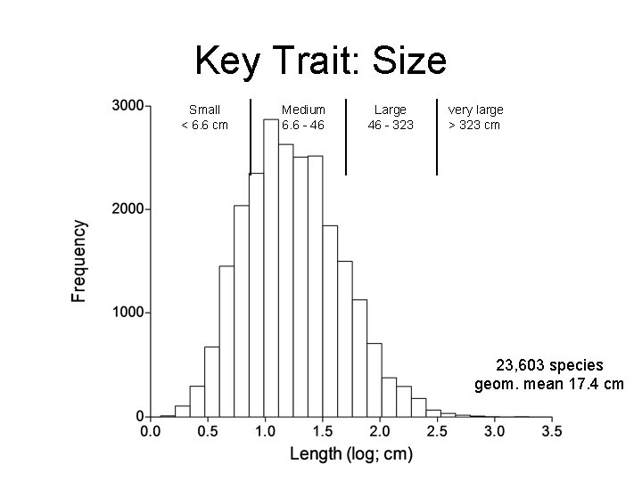 Key Trait: Size Small < 6. 6 cm Medium 6. 6 - 46 Large