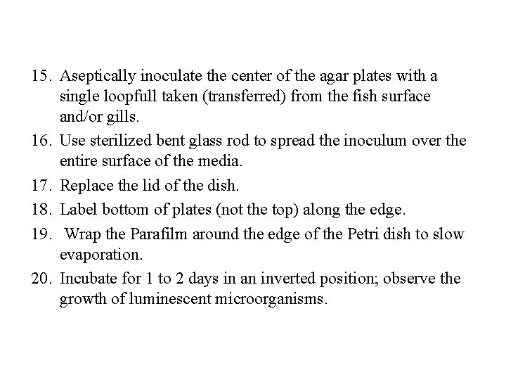 15. Aseptically inoculate the center of the agar plates with a single loopfull taken