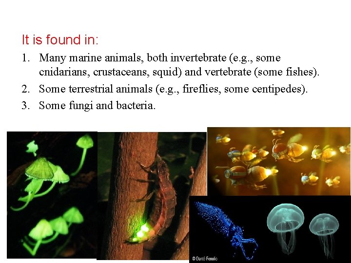 It is found in: 1. Many marine animals, both invertebrate (e. g. , some