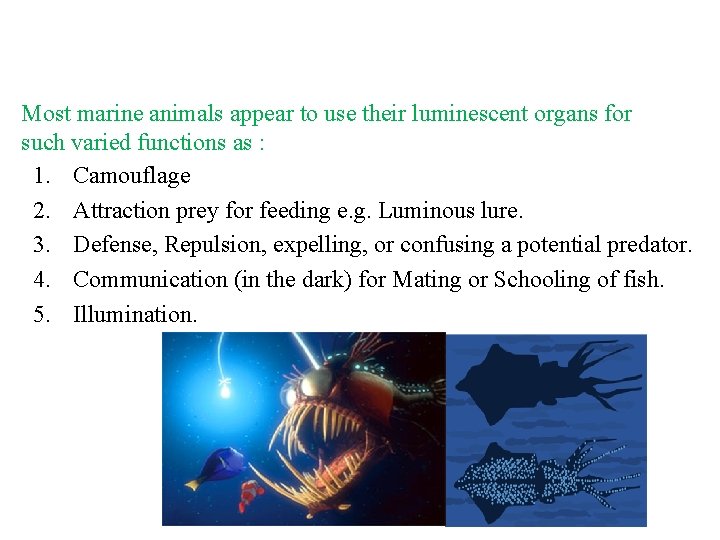 Most marine animals appear to use their luminescent organs for such varied functions as