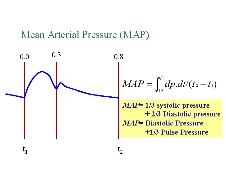Mean Arterial Pressure (MAP) 0. 0 0. 3 0. 8 MAP= 1/3 systolic pressure