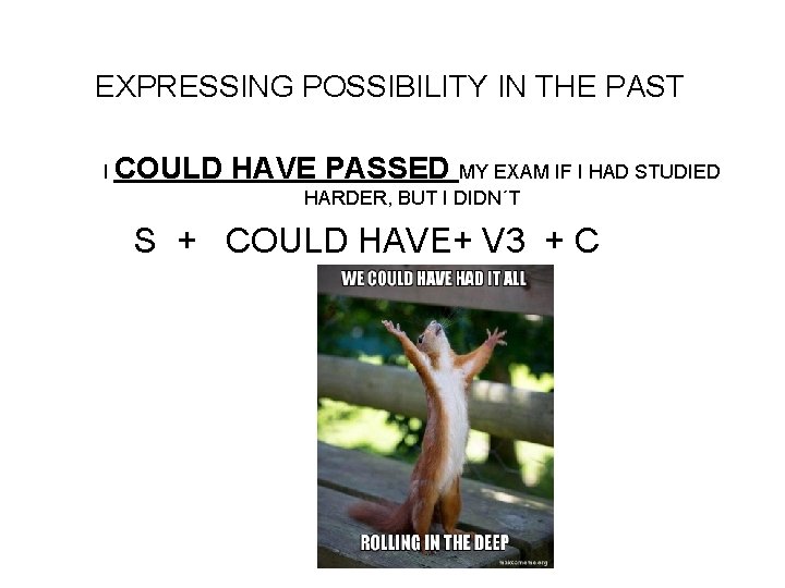 EXPRESSING POSSIBILITY IN THE PAST I COULD HAVE PASSED MY EXAM IF I HAD