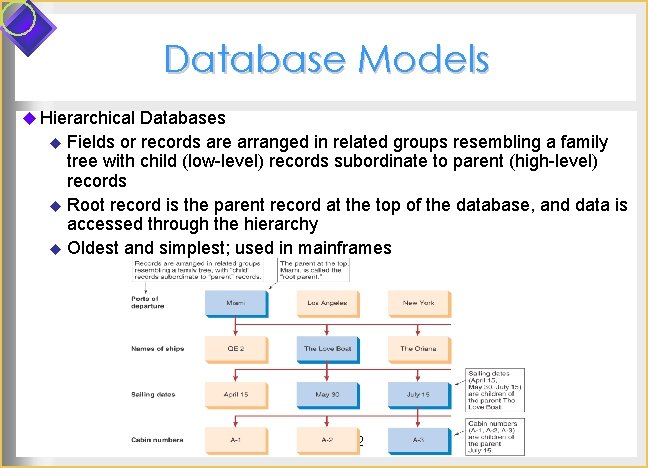 Database Models u Hierarchical Databases u Fields or records are arranged in related groups