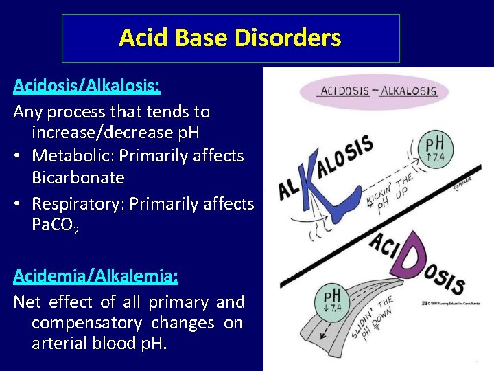 Acid Base Disorders Acidosis/Alkalosis: Any process that tends to increase/decrease p. H • Metabolic: