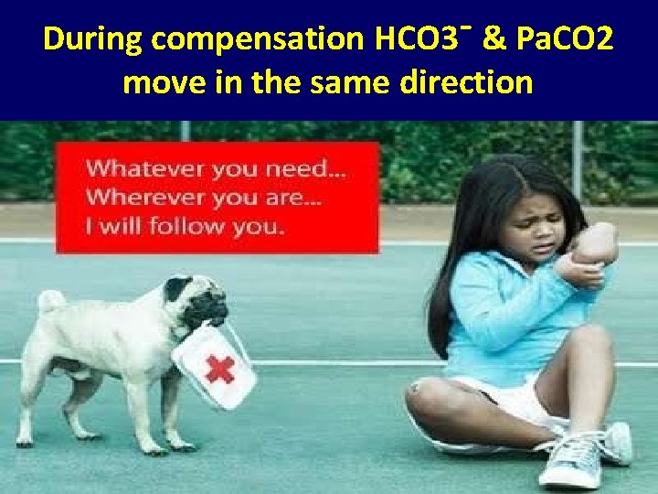 During compensation HCO 3¯ & Pa. CO 2 move in the same direction 
