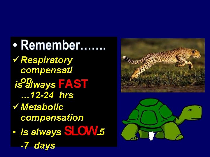  Respiratory compensati on is always FAST … 12 -24 hrs Metabolic compensation •