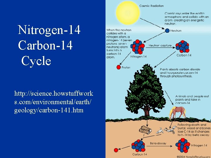 Nitrogen-14 Carbon-14 Cycle http: //science. howstuffwork s. com/environmental/earth/ geology/carbon-141. htm 