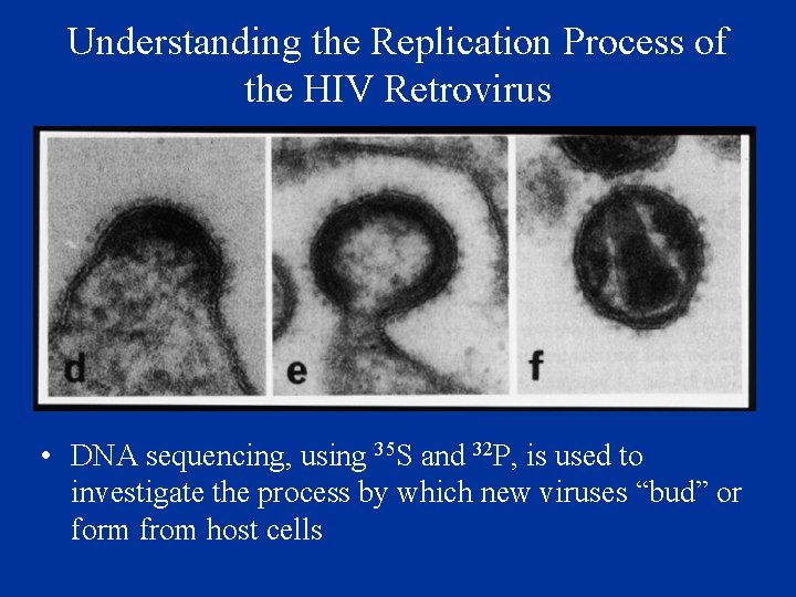 Understanding the Replication Process of the HIV Retrovirus • DNA sequencing, using 35 S