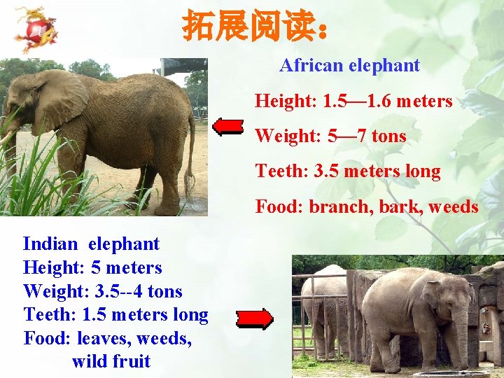 拓展阅读： African elephant Height: 1. 5— 1. 6 meters Weight: 5— 7 tons Teeth: