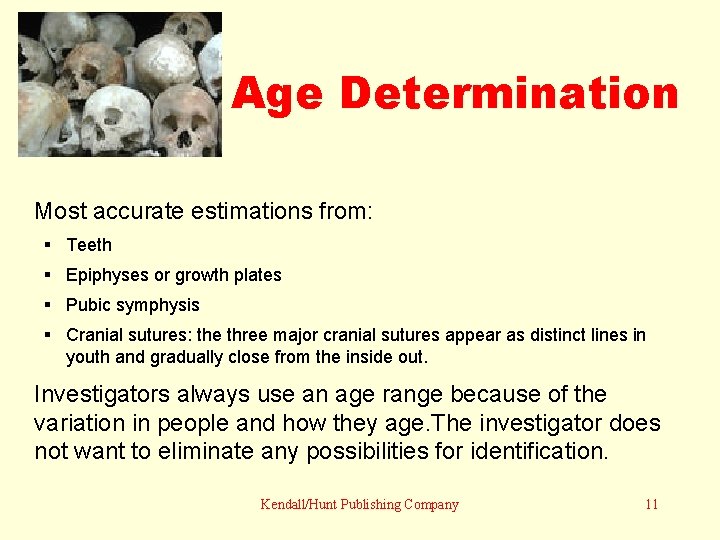 Age Determination Most accurate estimations from: § Teeth § Epiphyses or growth plates §
