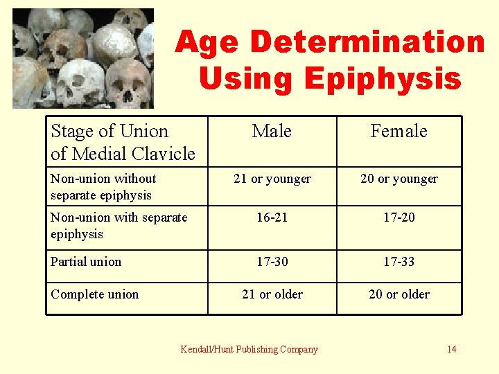 Age Determination Using Epiphysis Stage of Union of Medial Clavicle Male Female 21 or