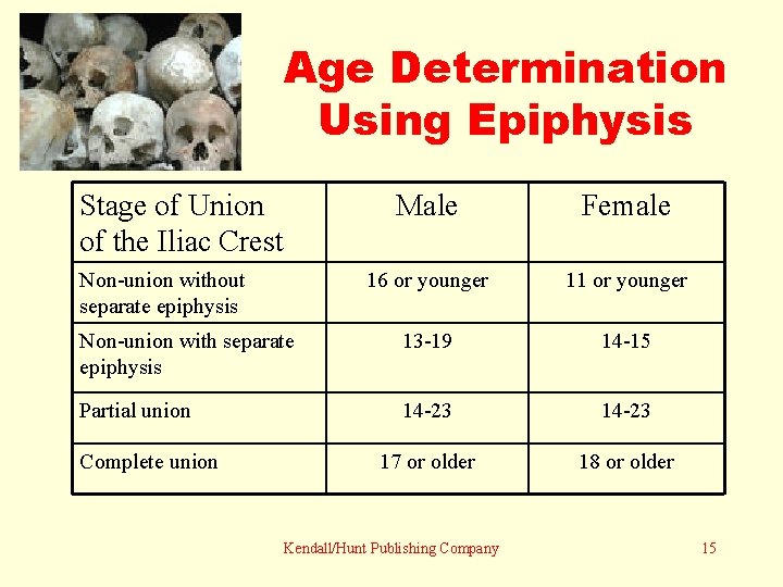 Age Determination Using Epiphysis Stage of Union of the Iliac Crest Male Female 16