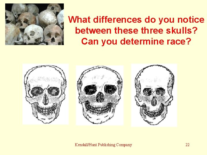 What differences do you notice between these three skulls? Can you determine race? Kendall/Hunt