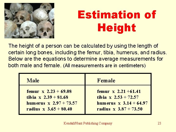 Estimation of Height The height of a person can be calculated by using the