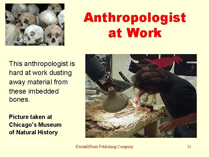 Anthropologist at Work This anthropologist is hard at work dusting away material from these