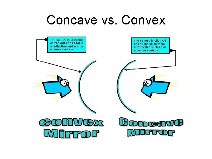 Concave vs. Convex 