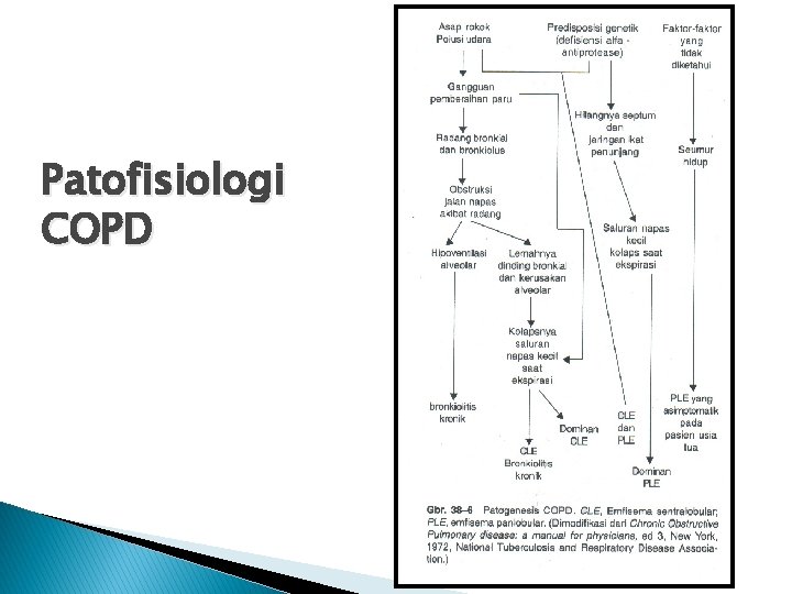 Patofisiologi COPD 