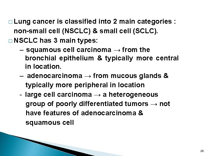 � Lung cancer is classified into 2 main categories : non-small cell (NSCLC) &