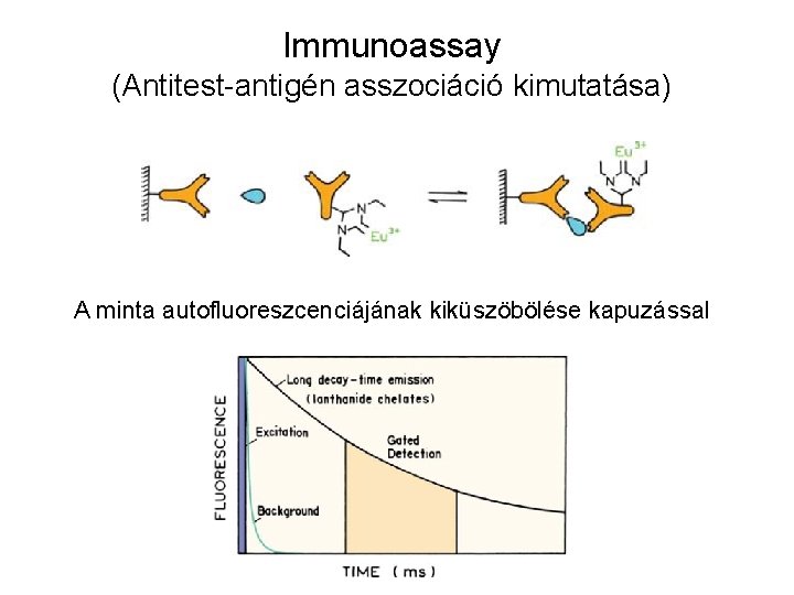 Immunoassay (Antitest-antigén asszociáció kimutatása) A minta autofluoreszcenciájának kiküszöbölése kapuzással 