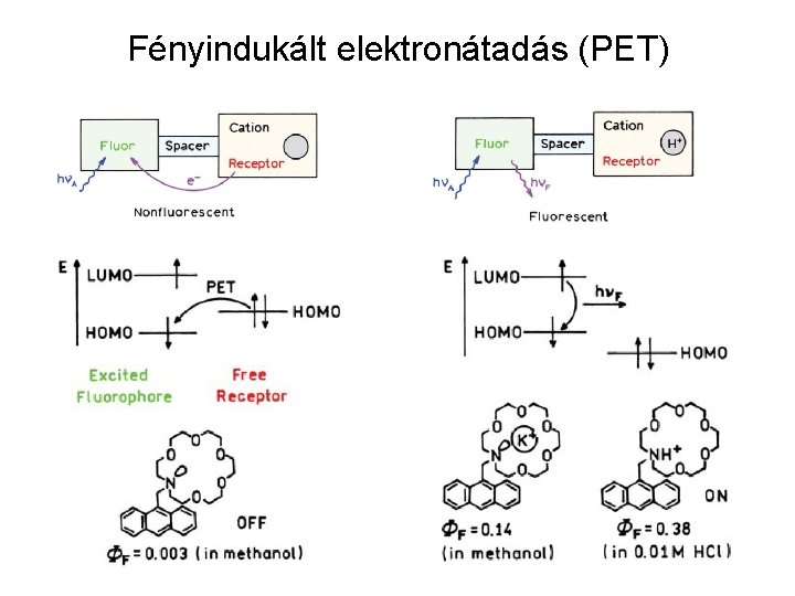 Fényindukált elektronátadás (PET) 